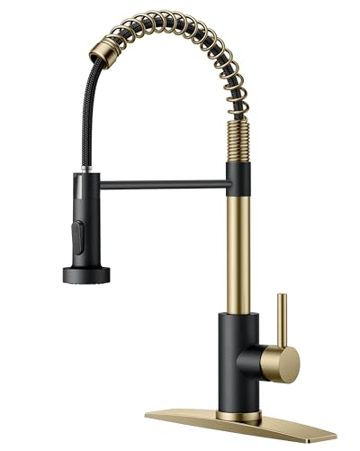 Kitchen Faucets