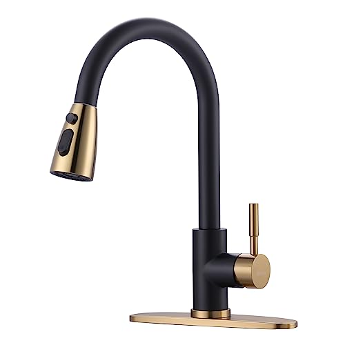 Black and Gold Kitchen Faucet with Sprayer