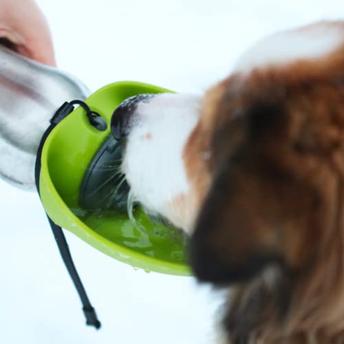 Travel Water Bottle