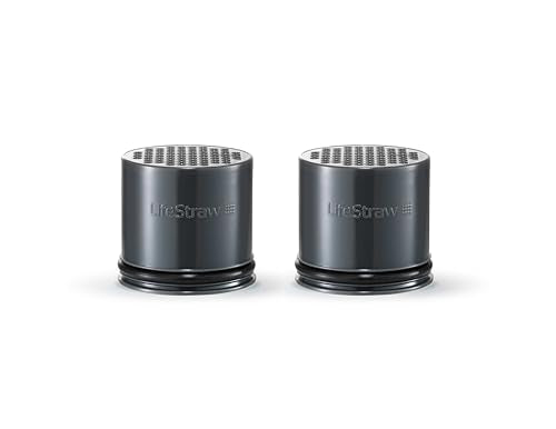 Carbon Capsule Replacement Filter for Go Bottle 2 (2 Count)