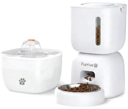 Automatic Cat Feeder and Water Fountain Set
