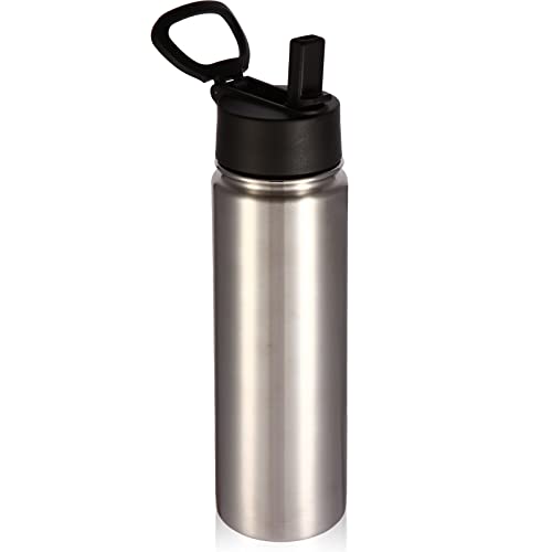 22 oz Insulated Water Bottles with Straw Lid