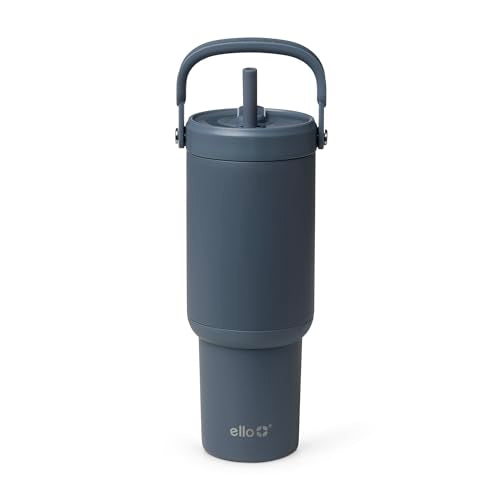 Oasis Go+ 26oz Insulated Stainless Steel Tumbler with Straw