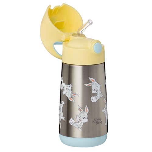 Looney Tunes Insulated Water Bottle for Kids
