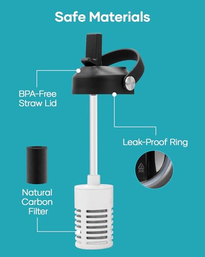 Water Bottle Filter Replacement with Straw Lid and Straws