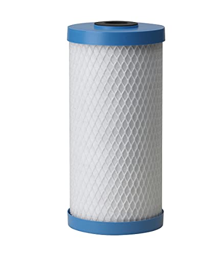 Pentair Pentek ChlorPlus 10BB Big Blue 10" x 4.5" Carbon Water Filter