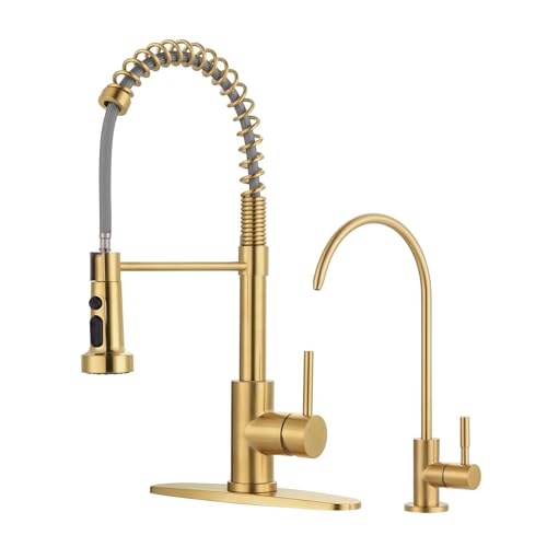 Kitchen Faucet and Water Filter Faucet
