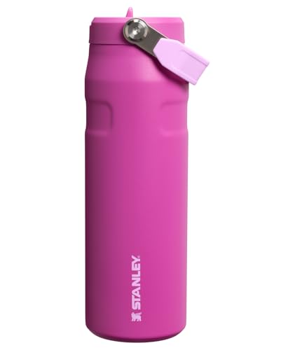 IceFlow Flip Straw 2.0 Bottle