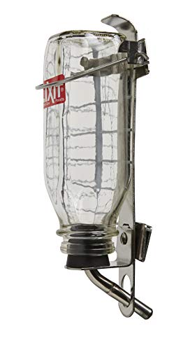 Heavy Duty Deluxe Glass Water Bottles for Birds
