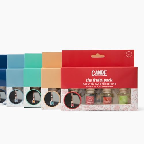 Hanging Car Air Freshener (4 Count)