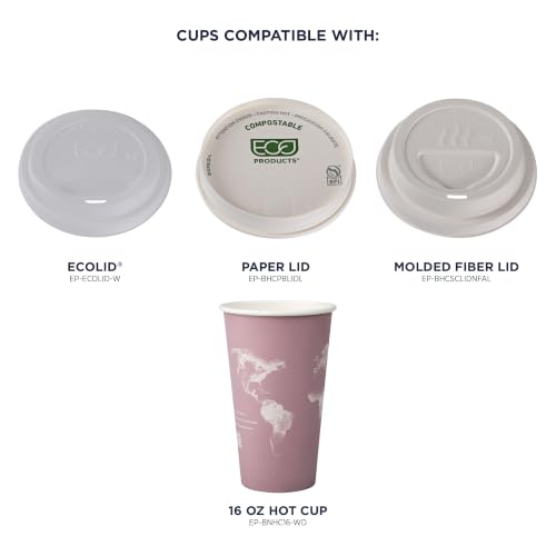 World Art Disposable Coffee Cups (50 Count)