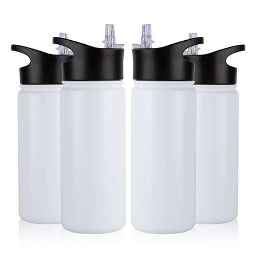 16 oz Insulated Water Bottle Bulk 4 Pack (4 Count)