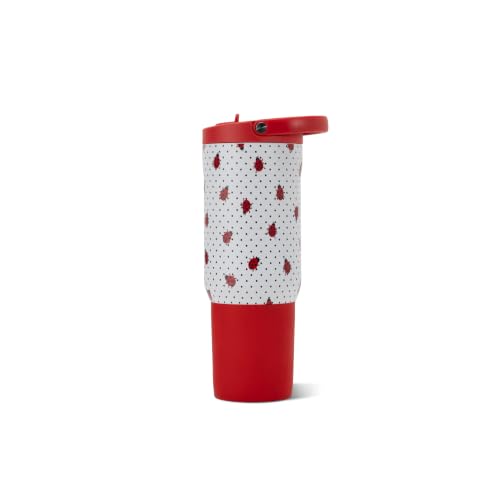 Sport 20 oz Insulated Stainless Steel Water Bottle