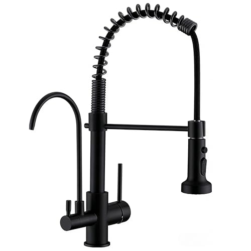 Commercial 3 in 1 Spring Black Kitchen Faucet
