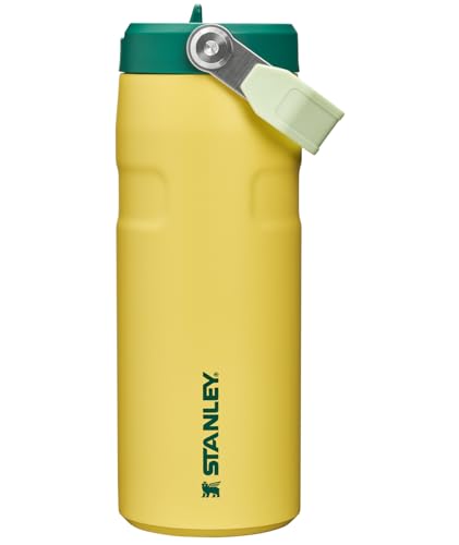 IceFlow Flip Straw 2.0 Bottle