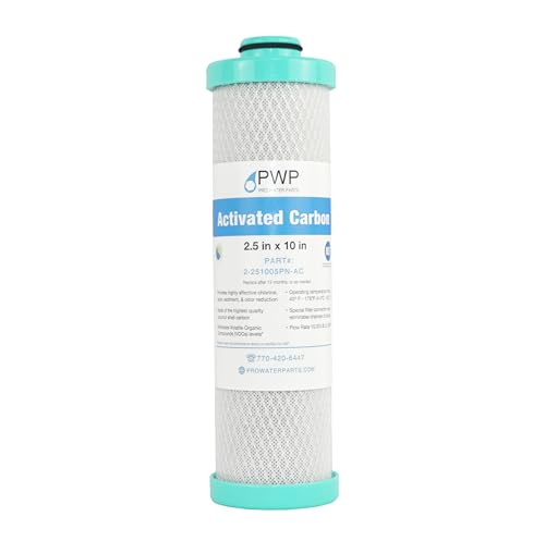 RV Water Filter System with Activated Carbon Filter 2.5X10 1