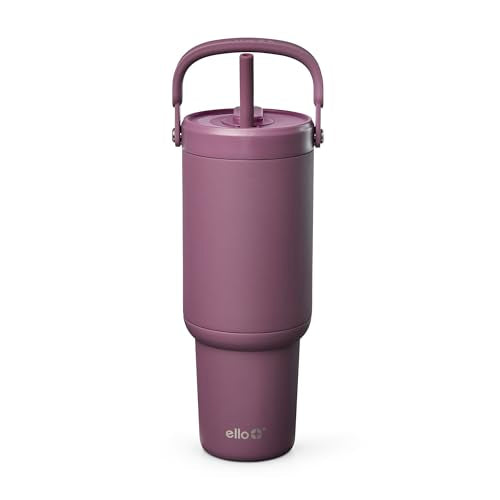 Oasis Go+ 32oz Insulated Stainless Steel Tumbler with Straw