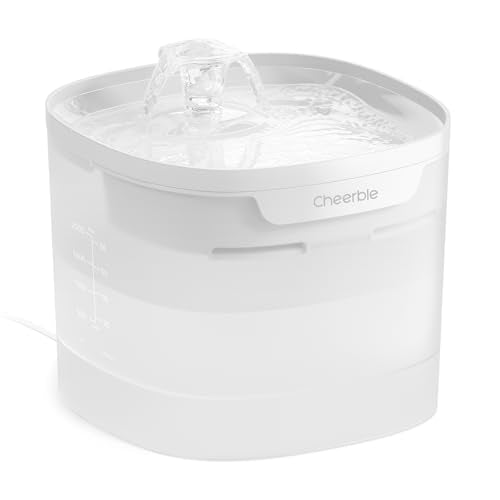 Pumpless Cat Water Fountain
