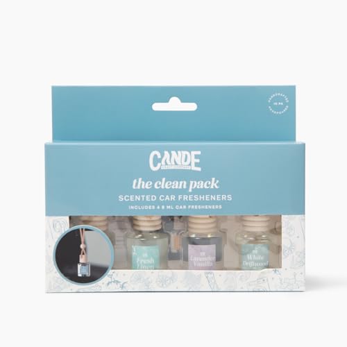 Hanging Car Air Freshener (4 Count)