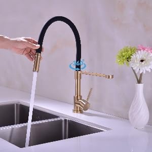Gold and Black Kitchen Faucet