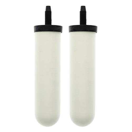 W9121214 British Berkefeld W9121215 0.5 Micron ATC Super Sterasyl Ceramic Water Filter for Gravity Systems (2 Count)
