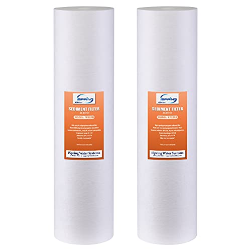 FP220B Whole House Water Filter Cartridge (2 Count)