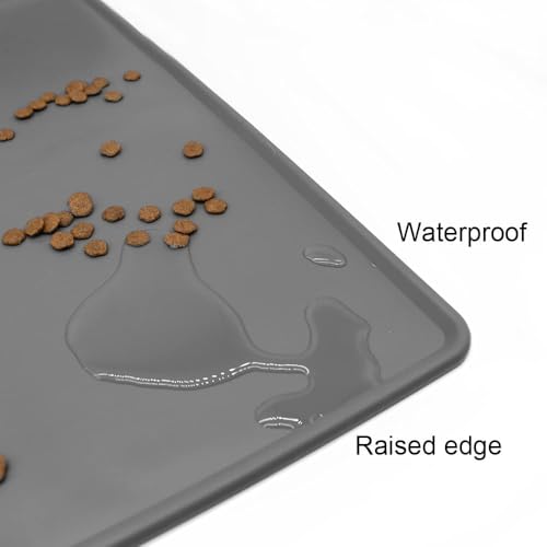 Dog Feeder and Water Dispenser