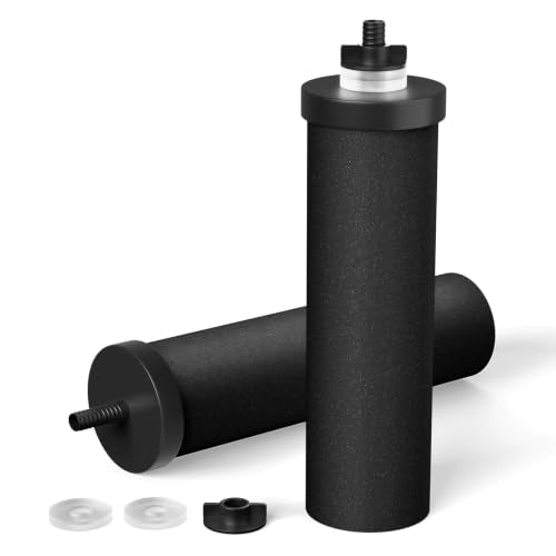 PF-2 Black 2-Stage Purification Elements, 2 Pack, K Series (2 Count)