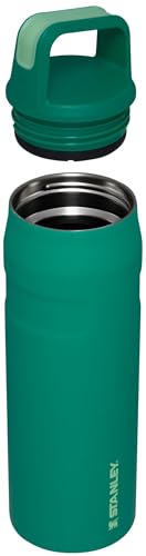 IceFlow Cap and Carry Water Bottle 24 oz