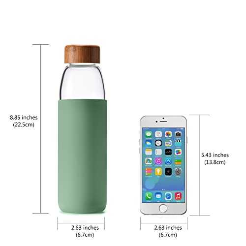 18 Oz Borosilicate Glass Water Bottles with Bamboo Lid