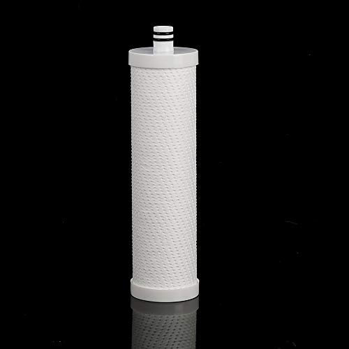 FZ 2 Replacement Filter Cartridge For MP99