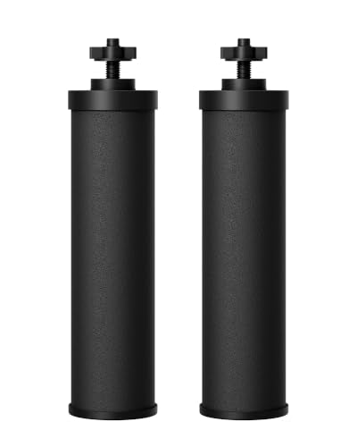 Silver Ions Black Water Filter (2 Count)