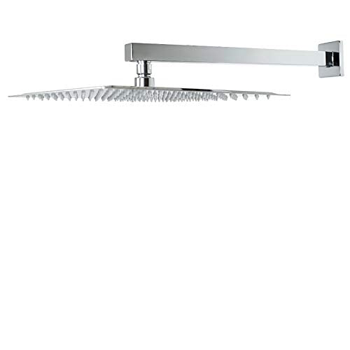 Shower Head with Extension Arm