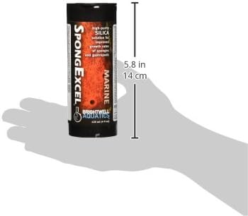 Brightwell Aquatics SpongExcel – Ionic Silica Solution for Marine Sponge & Gastropod Growth in Marine Aquariums, Boosts Water Quality, 125 ml - AquaVibe