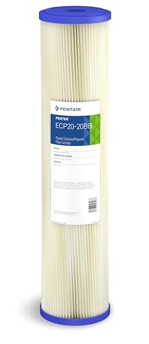 Pentair Pentek ECP20