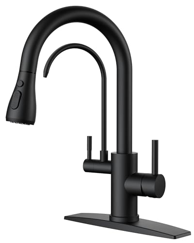 Kitchen Faucets with Purified Water