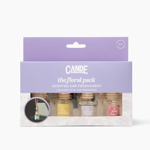 Hanging Car Air Freshener (4 Count)