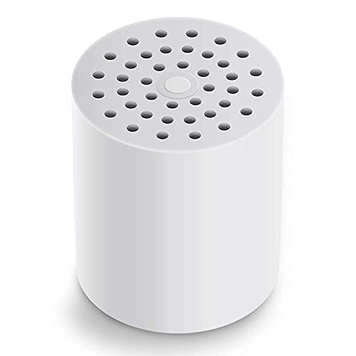 Filtered Shower Head