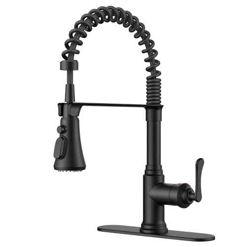 Rustic Black Kitchen Faucet with Pull Down Sprayer