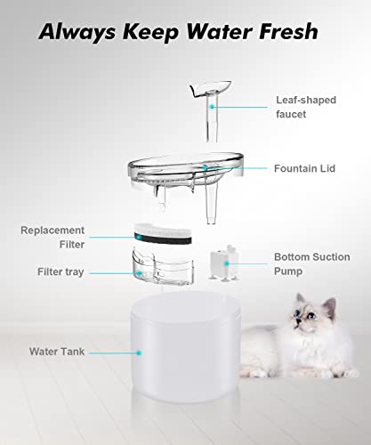 WF100 Cat Foutain