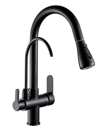 Kitchen Faucet with Water Filter Spout