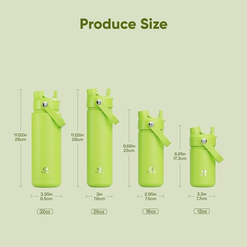 Insulated Water Bottle with Straw Stainless Steel Water Bottle