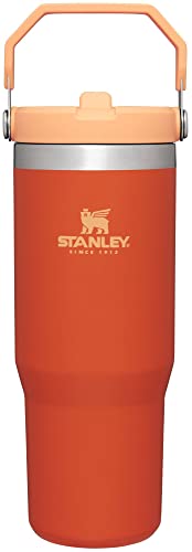 IceFlow Flip Straw Tumbler with Handle 30 oz