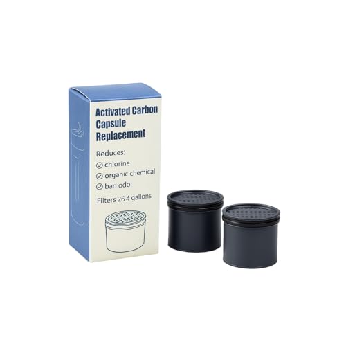 Carbon Water Filter Replacement Compatible with Lifestraw Go Series (2 Count)