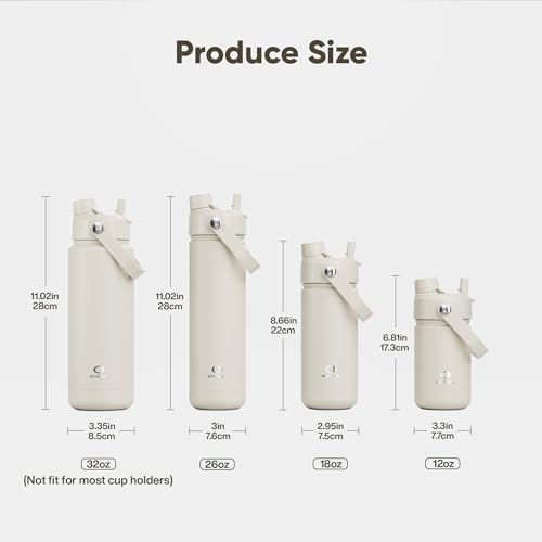 Insulated Water Bottle with Straw Stainless Steel Water Bottle