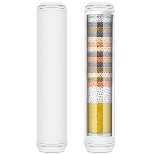 Water Filter Compatible with PWERAN and Fitespot Handheld Shower Head (2 Count)