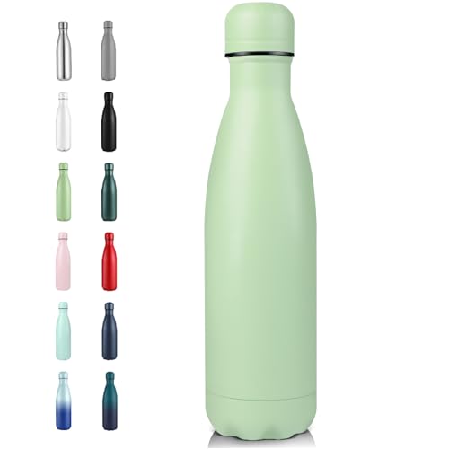 17oz Insulated Stainless Steel Water Bottle