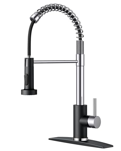 Kitchen Faucets