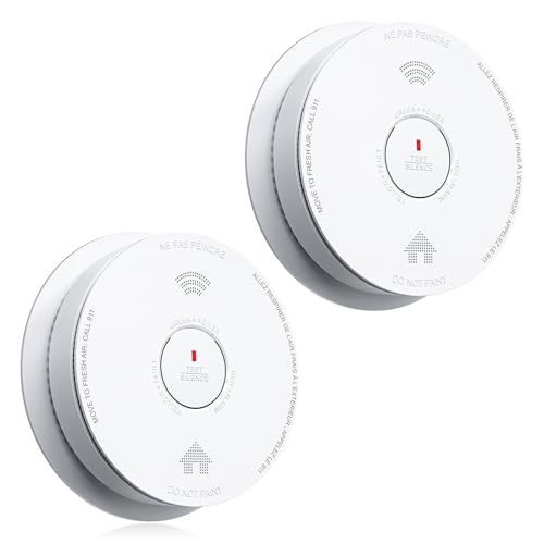 Smoke Detector 2 in 1 Smoke and Carbon Detectors