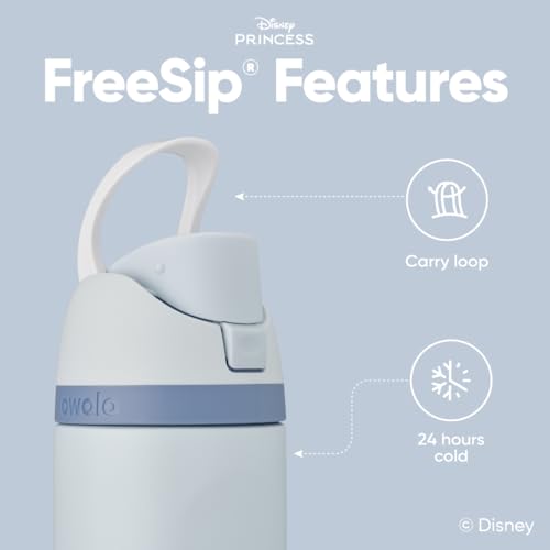 Princess FreeSip Stainless Steel Water Bottle 24 oz Cinderella